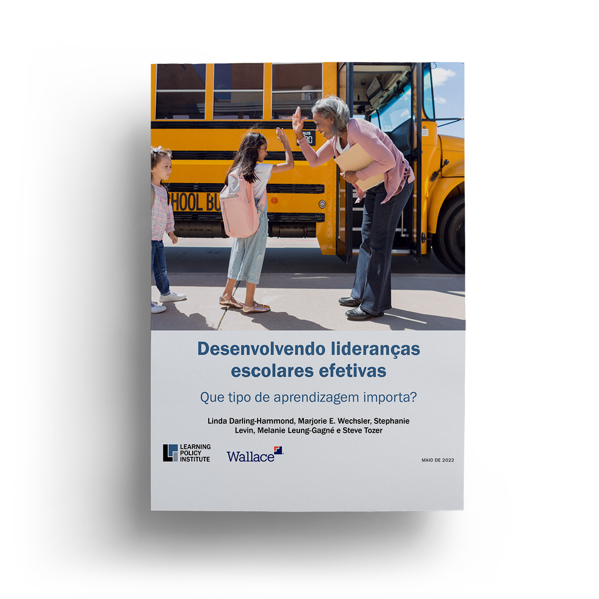 Que tipo de aprendizagem importa_